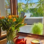 Stonehouse Ana With Jacuzzi Rovinj-krmed Dom wakacyjny Krmed