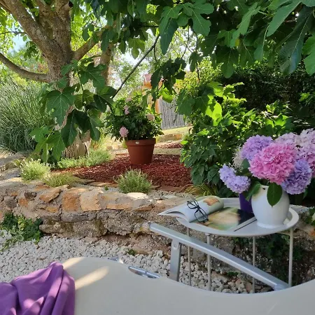Stonehouse Ana With Jacuzzi Rovinj-krmed 度假居